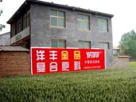福泉如何让墙体广告展现最大化效果