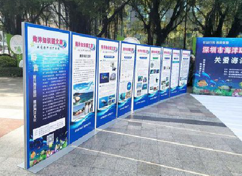 福泉KT板的种类和知识。